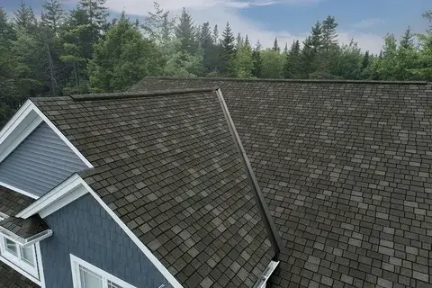 shingles (2) (1)